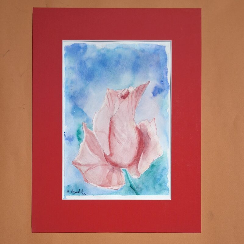 Akwarela „Róża” – Rafał Nieradzik